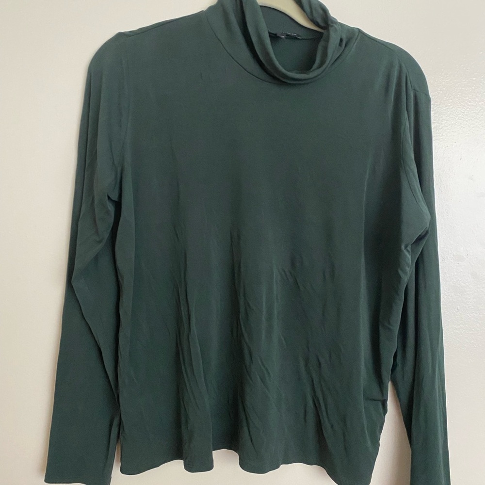 Eileen Fisher green silk turtleneck top